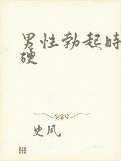 男性勃起时有多硬