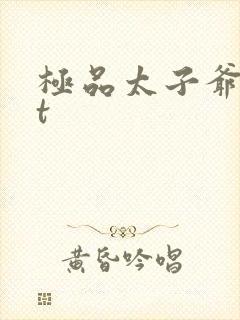 极品太子爷txt封面