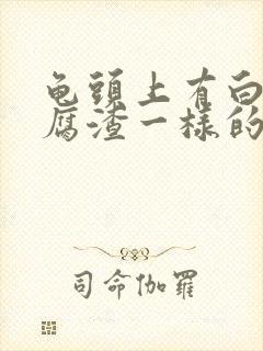 龟头上有白色豆腐渣一样的东西痒封面