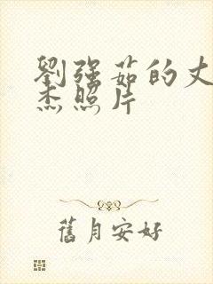 刘强茹的丈夫徐杰照片封面