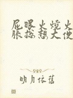 屁眼火烧火燎坠胀总想大便