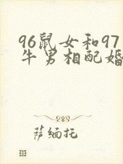 96鼠女和97牛男相配婚姻如何