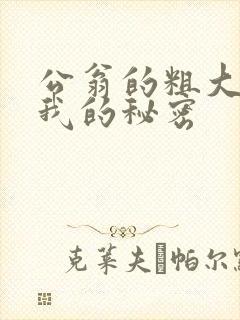 公翁的粗大放进我的秘密