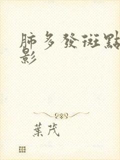 肺多发斑点结节影