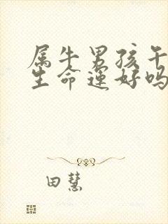 属牛男孩午时出生命运好吗