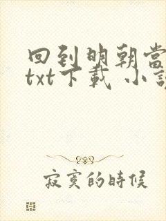 回到明朝当暴君txt下载 小说