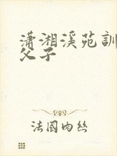 潇湘溪苑训诫文父子