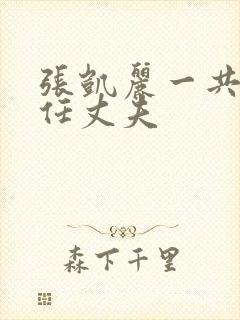 张凯丽一共有几任丈夫