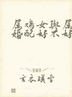 属鸡女与属狗男婚配好不好封面