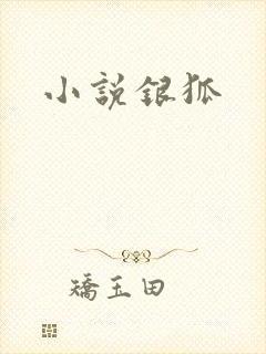 小说银狐