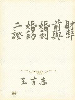 二婚婚前财产公证的利与弊封面