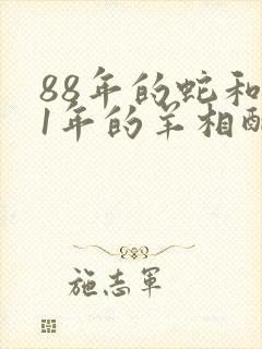 88年的蛇和91年的羊相配吗