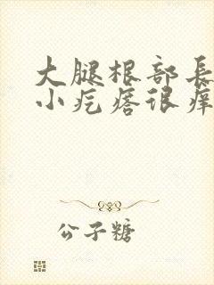 大腿根部长一片小疙瘩很痒