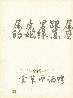 属虎男跟属猪女的姻缘怎么样