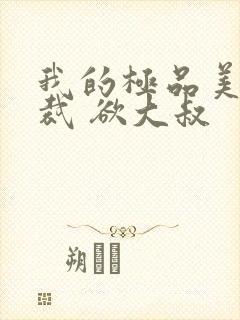 我的极品美女总裁 欲大叔