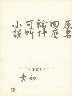 小可轮回原著小说叫什么名字
