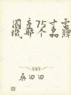 国产75寸电视机哪个品牌好性价比高