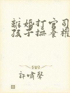 离婚打官司争夺孩子抚养权