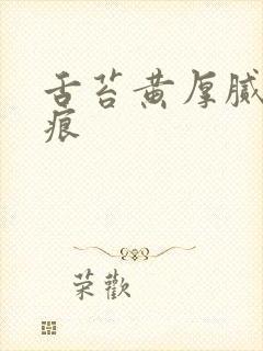 舌苔黄厚腻有齿痕