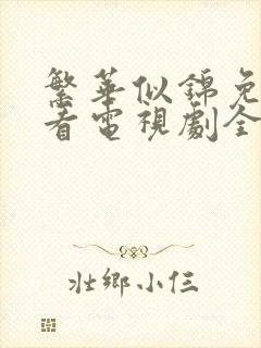 繁华似锦免费观看电视剧全集播放