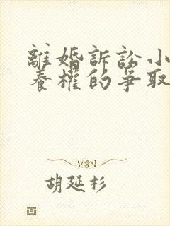 离婚诉讼小孩抚养权的争取