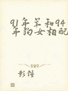 91年羊和94年狗女相配吗封面