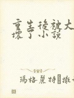 重生后被大佬宠坏了小说