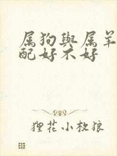 属狗与属羊的婚配好不好