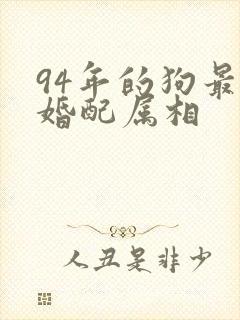 94年的狗最佳婚配属相