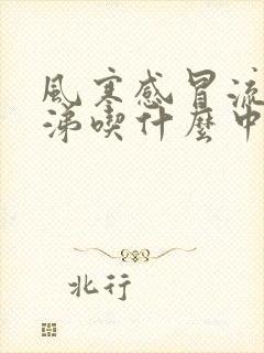 风寒感冒流清鼻涕吃什么中成药