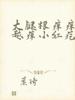 大腿根痒痒越抓越痒小红疙瘩