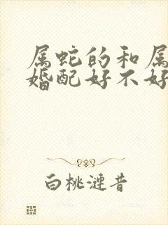 属蛇的和属兔的婚配好不好