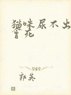 猫咪尿不出多久会死