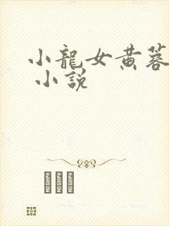 小龙女黄蓉大奶 小说