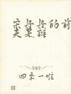 宋丹丹的前任丈夫是谁封面