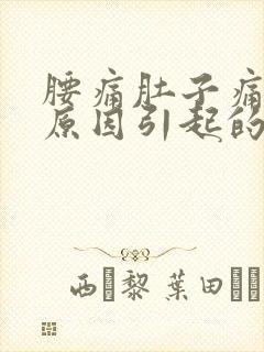 腰痛肚子痛什么原因引起的