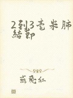 2到3毫米肺有结节