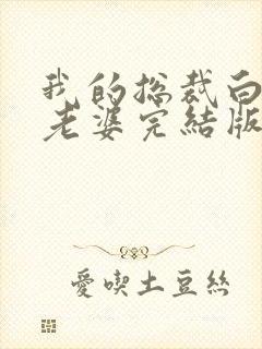 我的总裁白富美老婆完结版