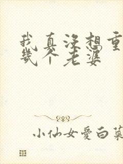 我真没想重生啊几个老婆封面