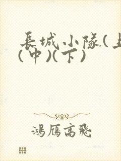 长城小队(上)(中)(下)