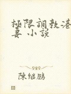 极限调教港女人妻 小说