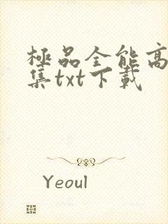 极品全能高手全集txt下载