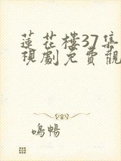 莲花楼37集电视剧免费观看完整版