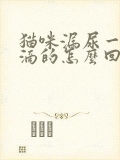 猫咪漏尿一滴一滴的怎么回事