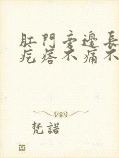 肛门旁边长了个疙瘩不痛不痒软的