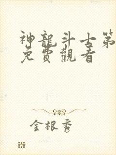 神龙斗士第一季免费观看