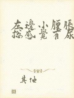 左边小腹胀痛,总感觉有尿