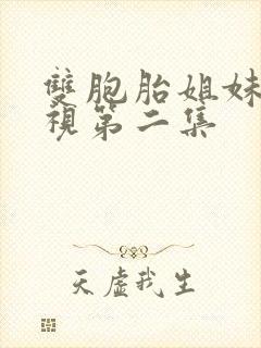 双胞胎姐妹的蔑视第二集