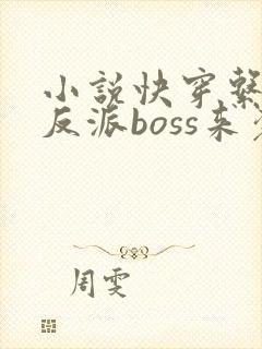 小说快穿系统之反派boss来袭全文