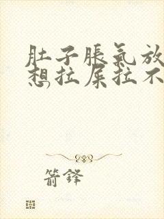 肚子胀气放屁多想拉屎拉不出来